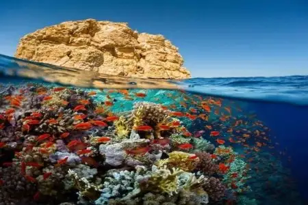 Snorkeling boat trip at sunset